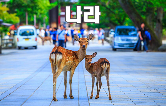 나라