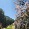 Snipaste_2025-02-12_12-05-18 - 복사본